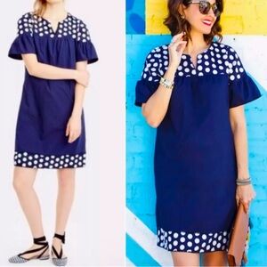 J CREW 3D Embroidered Fringed Polka Dot Dress